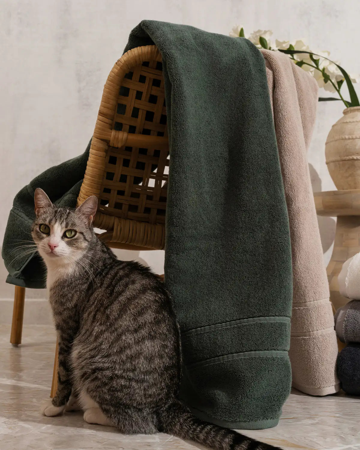 In a home setting, pine green and sandshell classic Turkish  towels are laid out next to a cat sitting in front of a wooden chair.